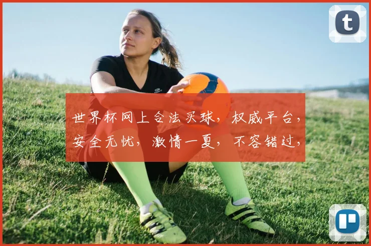 世界杯网上合法买球，权威平台，安全无忧，激情一夏，不容错过，体验精彩