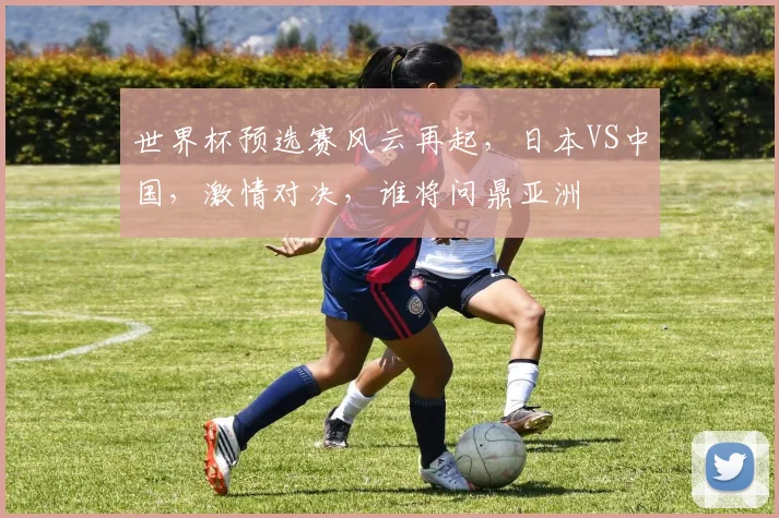 世界杯预选赛风云再起，日本VS中国，激情对决，谁将问鼎亚洲
